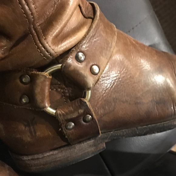 Meet your Posher, Mare - Picture 1 of 1